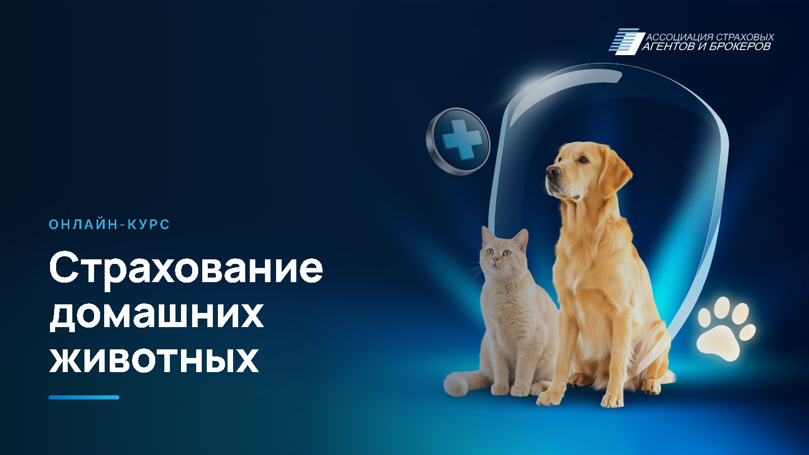 Страхование домашних животных