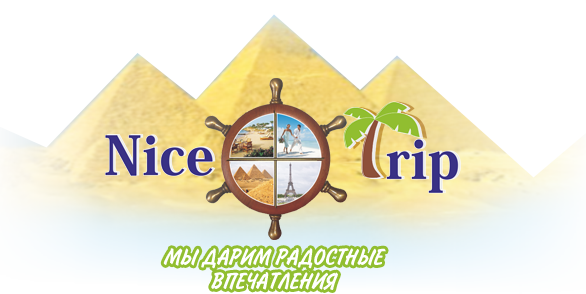 NICE TRIP